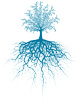 Tree and Root